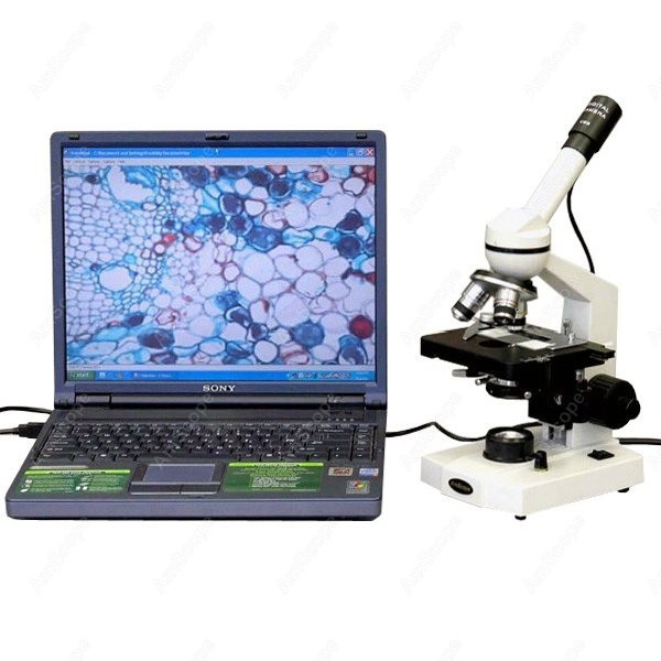 Microscope Compound 40X - กล้องจุลทรรศน์แบบประกอบเดี่ยวสำหรับนักเรียน AmScope รุ่น M600 ซีรีส์ กำลังขยาย