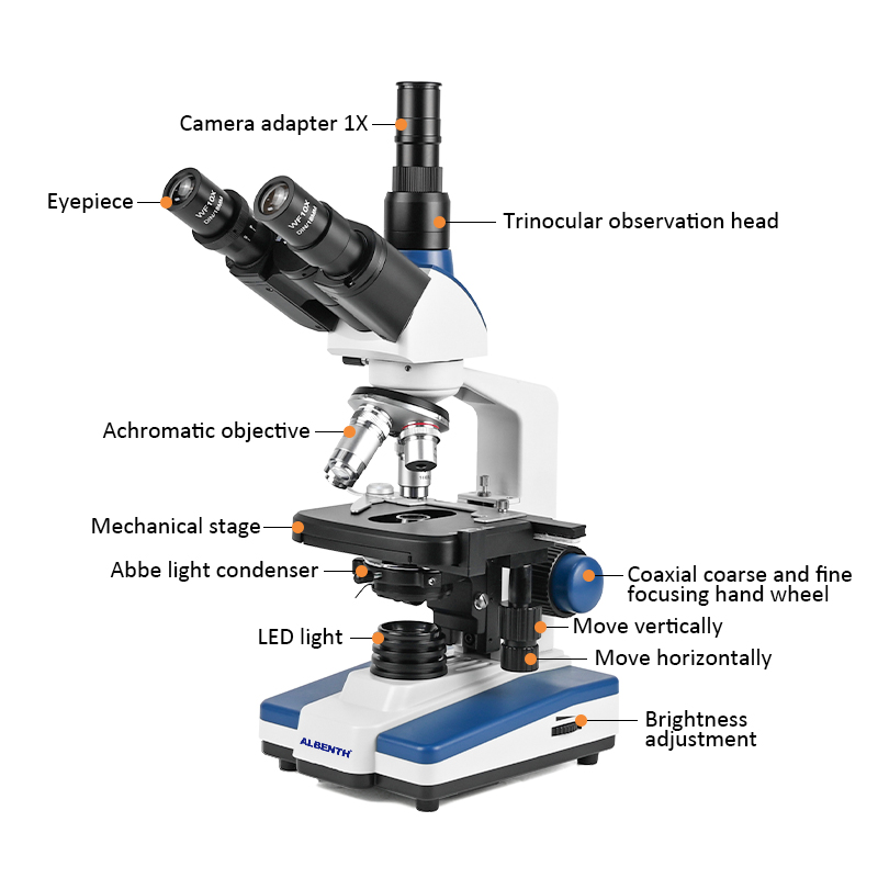 กล้องจุลทรรศน์ชีวภาพระดับมืออา - Microscope Compound 40X บทวิจารณ์และราคา