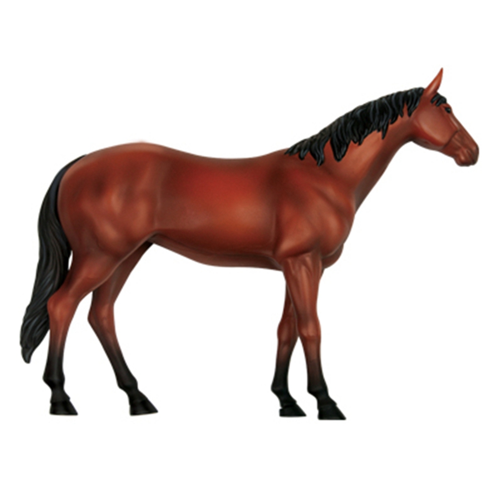 สัตว์ออร์แกน Anatomy 4D Horse  - Science Toy บทวิจารณ์และราคา