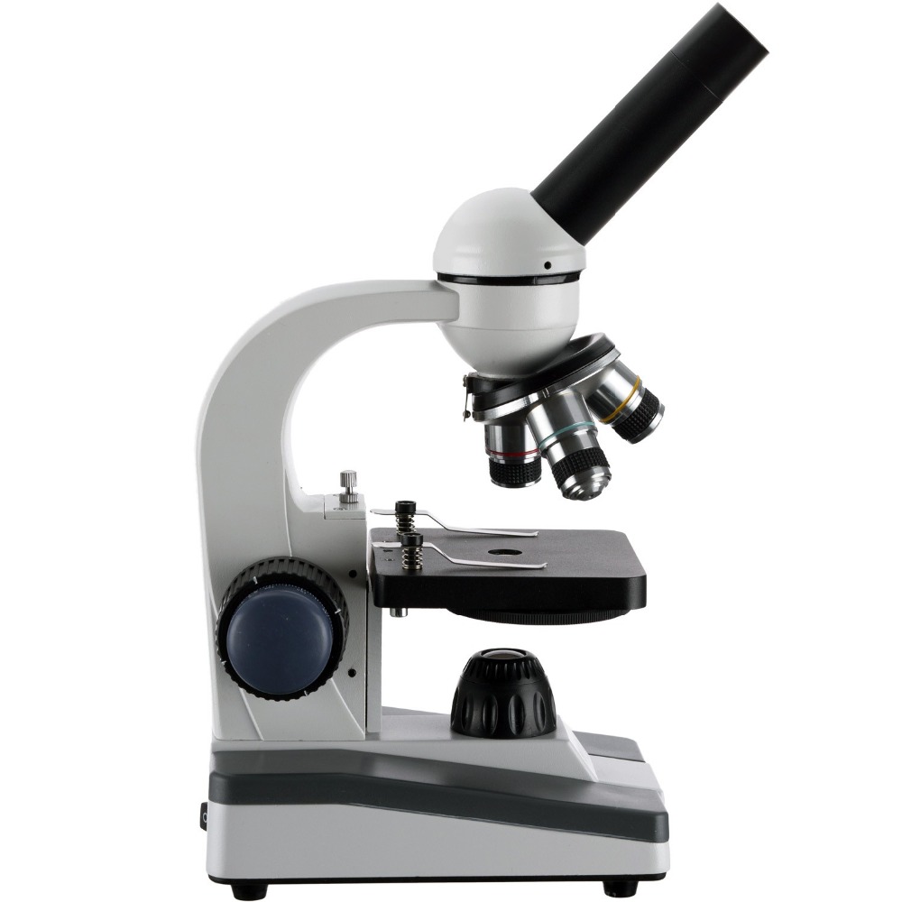 กล้องจุลทรรศน์แบบพกพา AmScope  - Microscope Compound 40X บทวิจารณ์และราคา