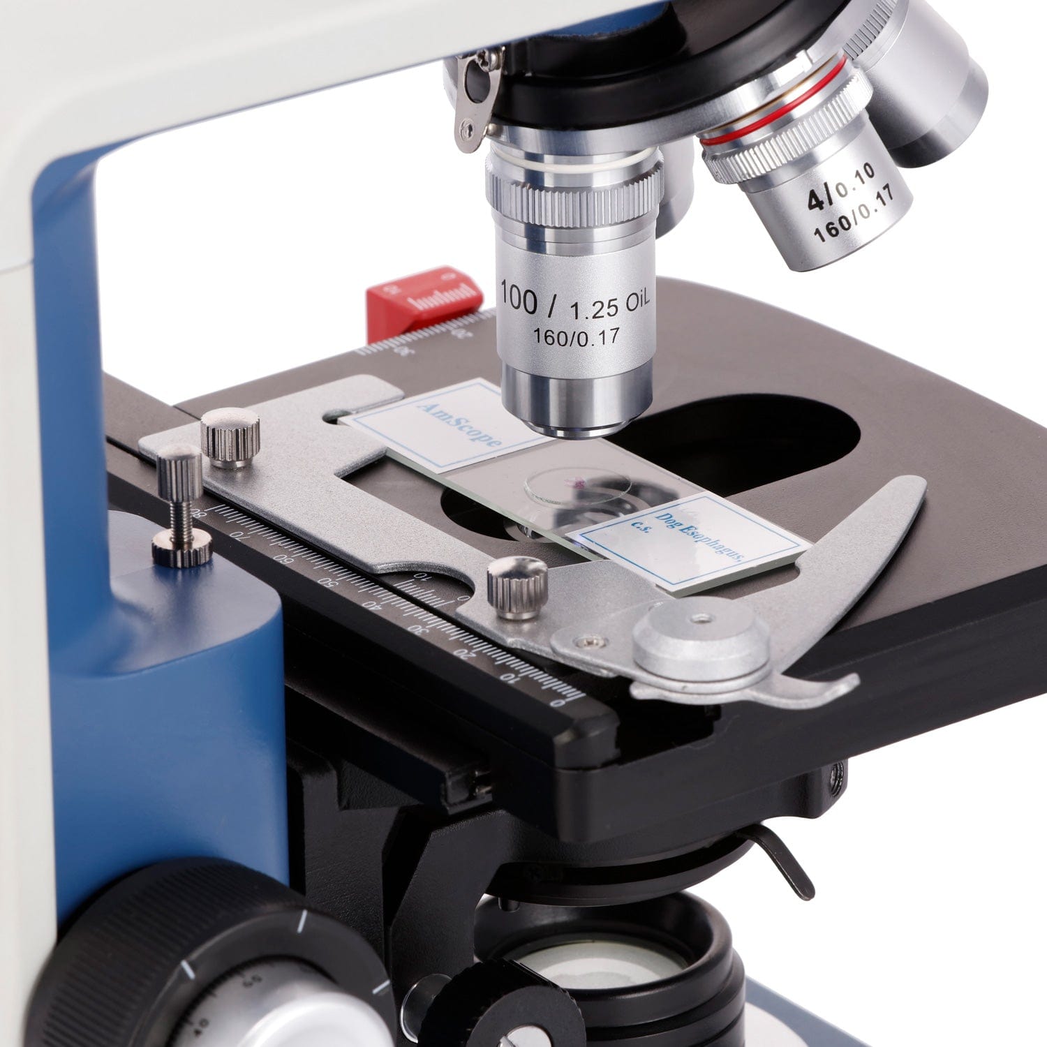 กล้องจุลทรรศน์แบบสองตาสำหรับนั - Microscope Compound 40X บทวิจารณ์และราคา