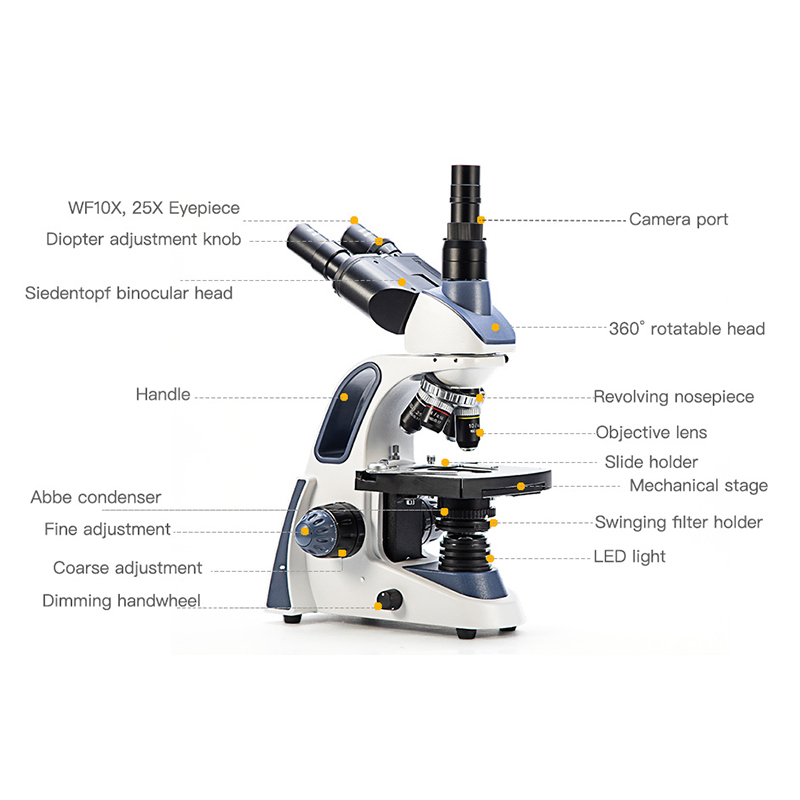 กล้องจุลทรรศน์แบบสามตา SWIFT S - Microscope Compound 40X บทวิจารณ์และราคา