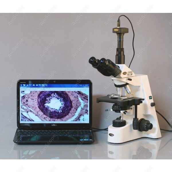 กล้องจุลทรรศน์ชีวภาพแบบผสม AmS - Microscope Compound 40X บทวิจารณ์และราคา