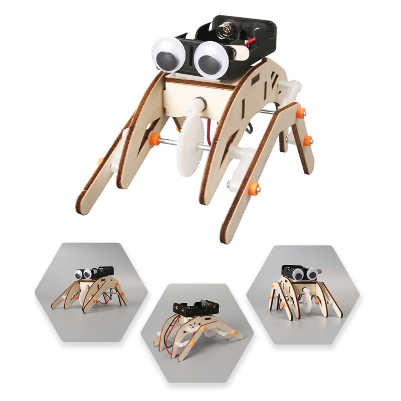 โครงการทดลองฟิสิกส์แมลงเครื่อง - Science Project Physics บทวิจารณ์และราคา