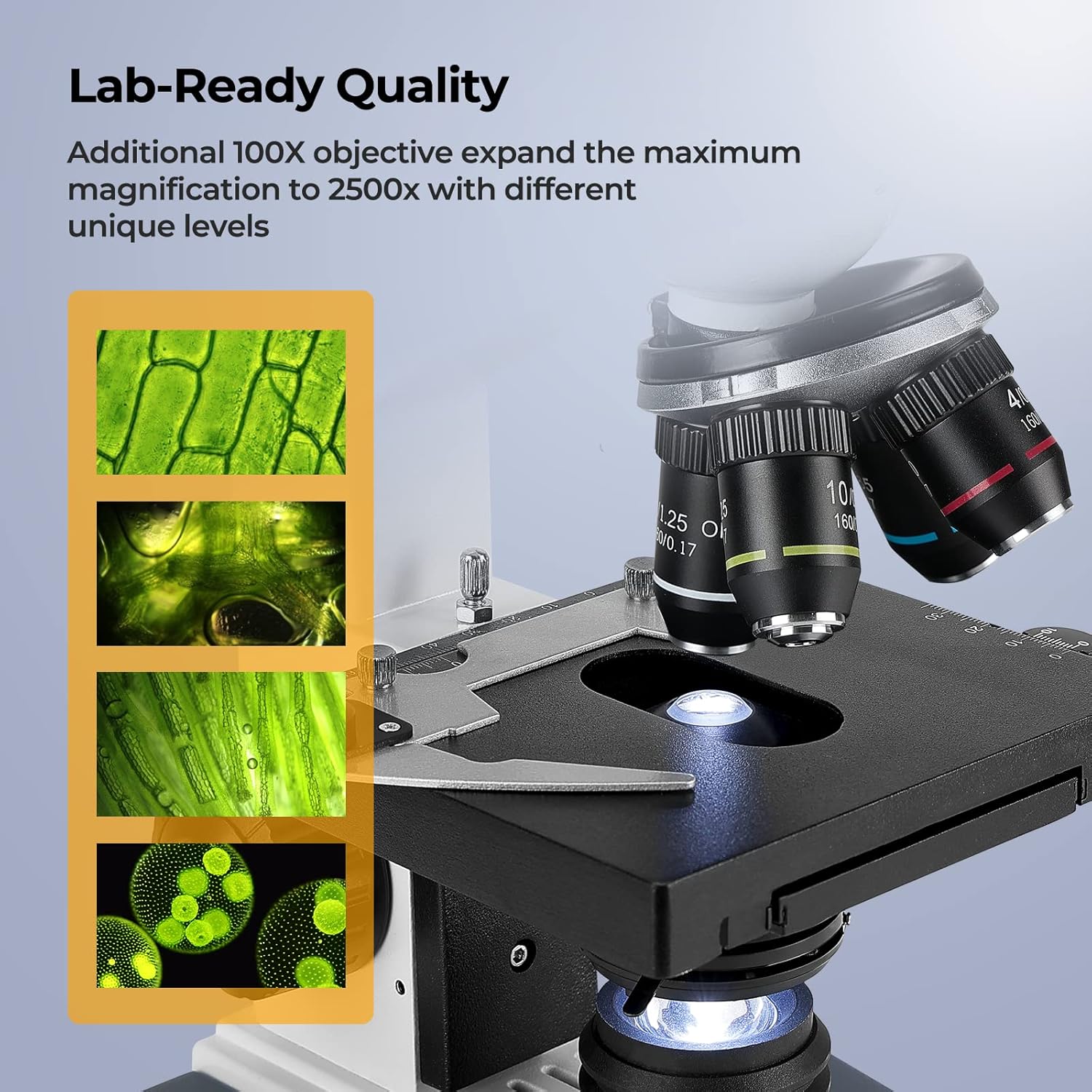 กล้องจุลทรรศน์แบบ Trinocular ก - Microscope Compound 40X บทวิจารณ์และราคา
